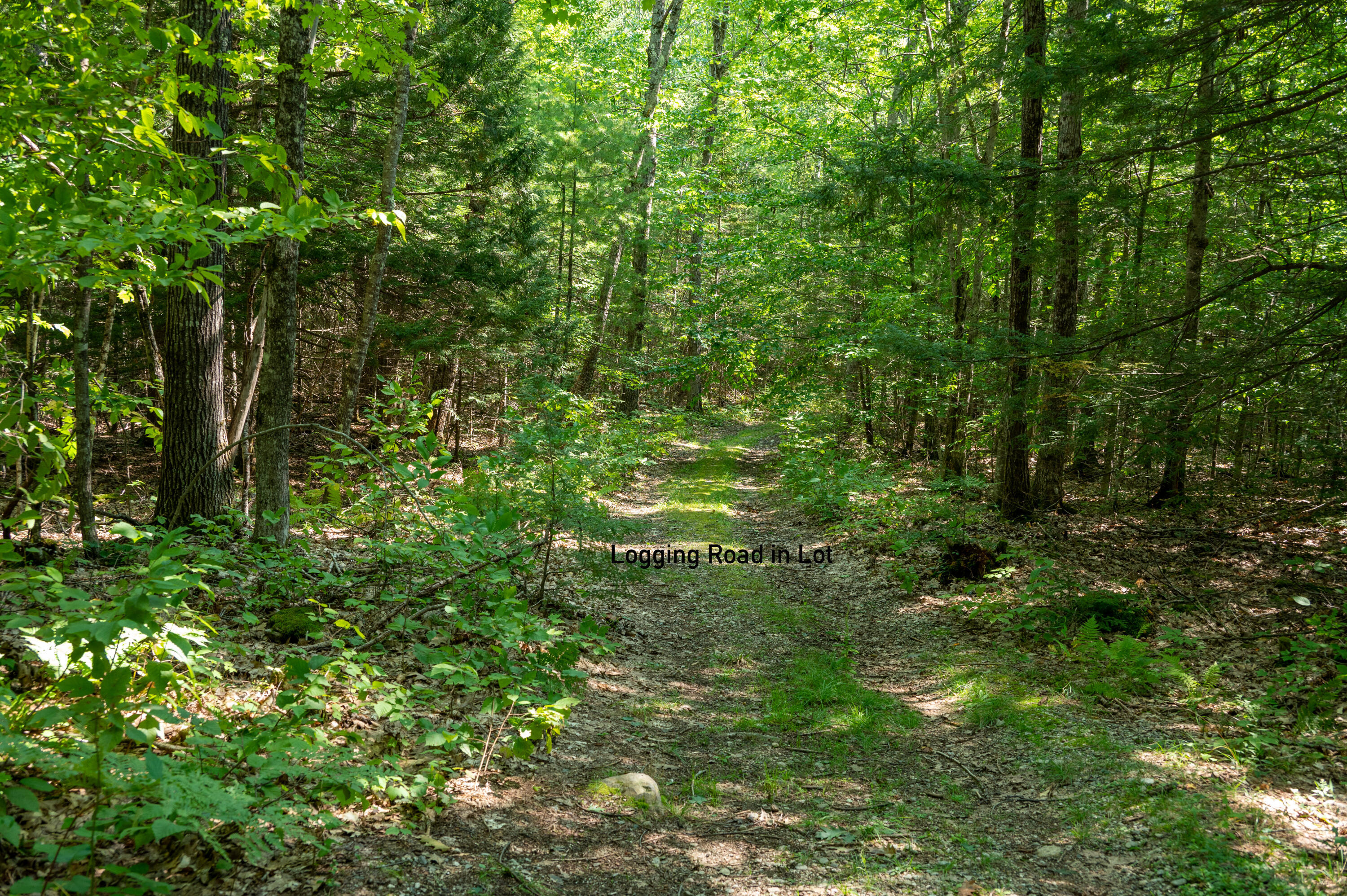 210 Rockaway Road Falmouth, ME 04105 - Photo 14 of 19 Highland Lake2-13