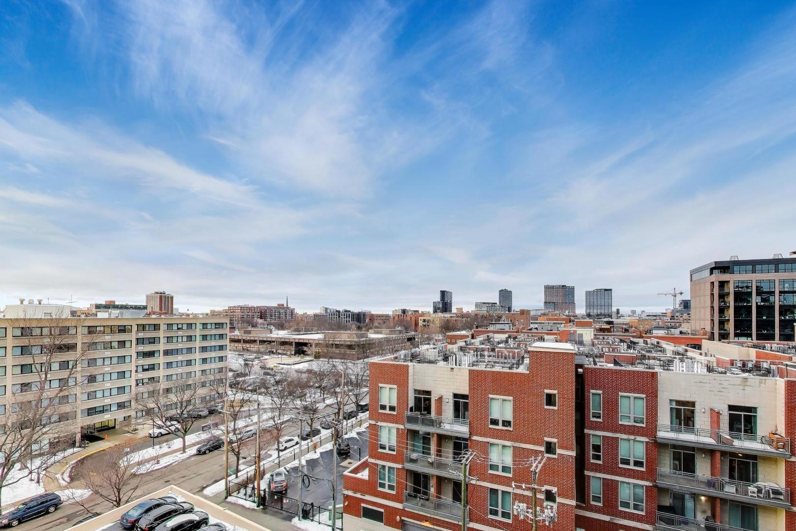 1250 West Van Buren Street, Unit 607 Chicago, IL 60607 - Photo 14 of 15