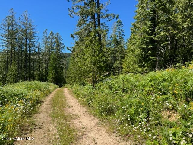 Nka Middle Fork Santa Creek Road St. Maries, ID 83861 - Photo 1 of 1 Road View