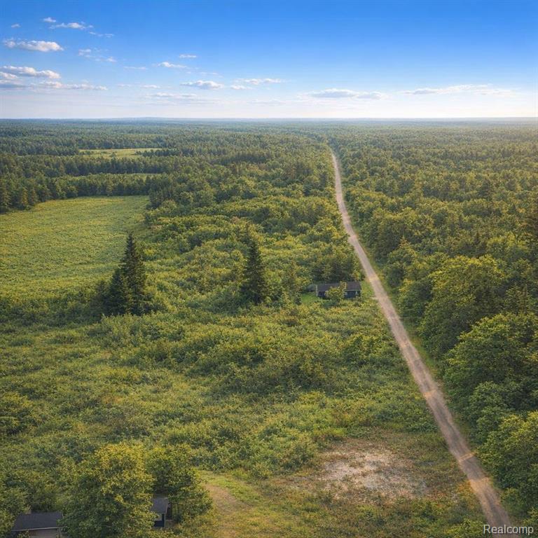 0 Gray Road Lapeer, MI 48446 - Photo 3 of 9