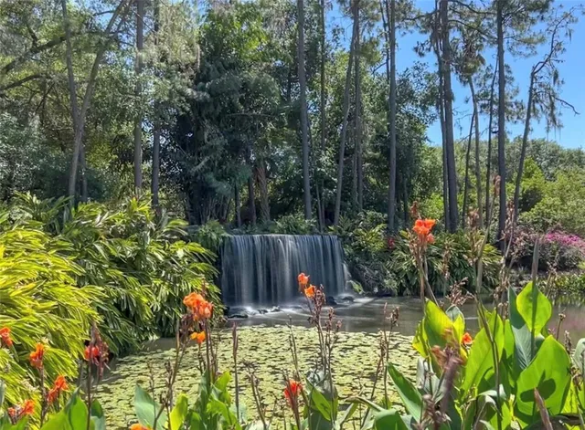 a view of a park with tree s