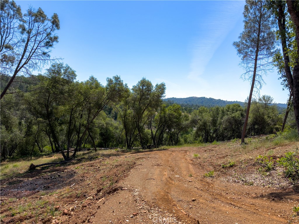 10 Miller Road Mariposa, CA 95338 - Photo 32 of 34 a view of outdoor space with trees
