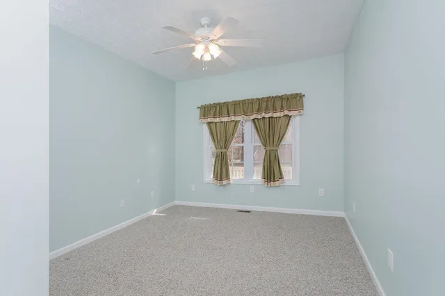 a view of a house with a yard and potted plants