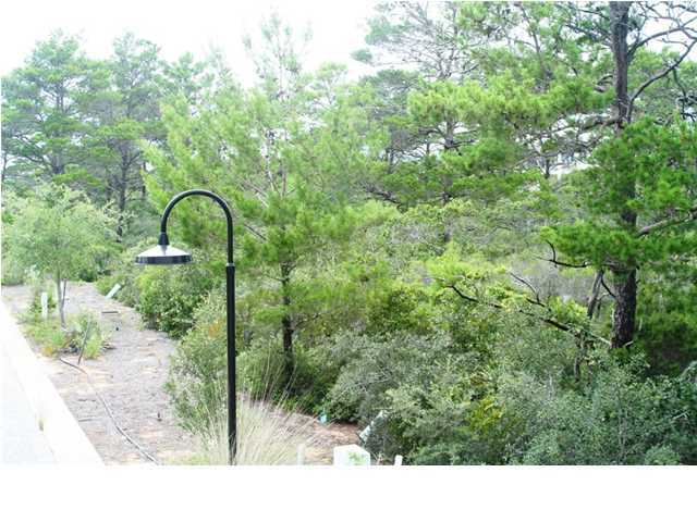 Lot 19 Gulfview Way Santa Rosa Beach, FL 32459 - Photo 4 of 19 Gallery Image 4