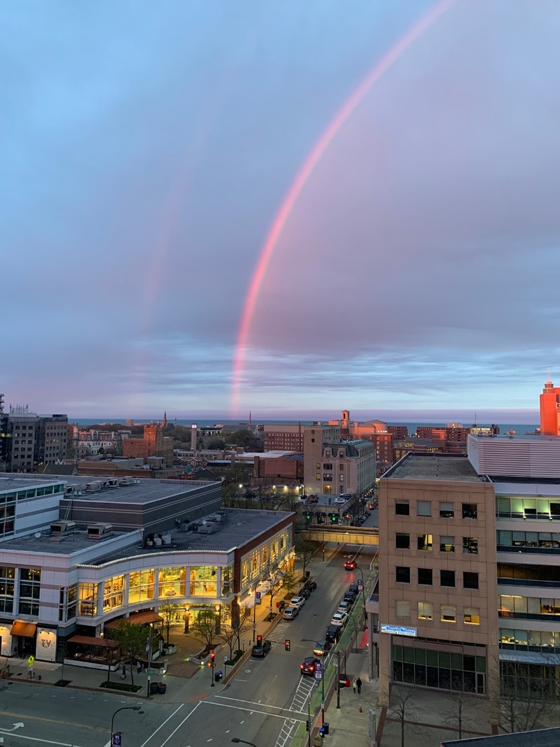 1640 Maple Avenue, Unit 1101 Evanston, IL 60201 - Photo 2 of 43