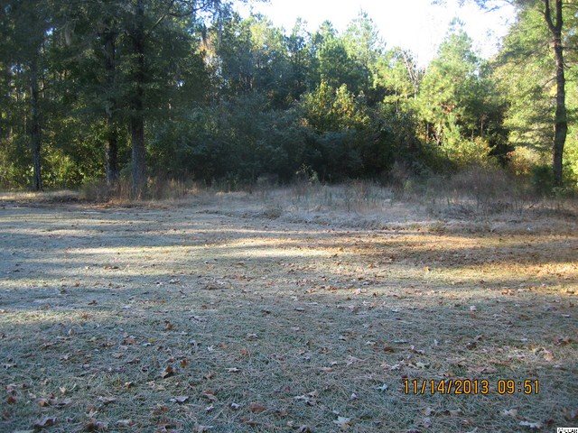 2971 10 Acre Road Andrews, SC 29510 - Photo 15 of 15 Gallery Image 15