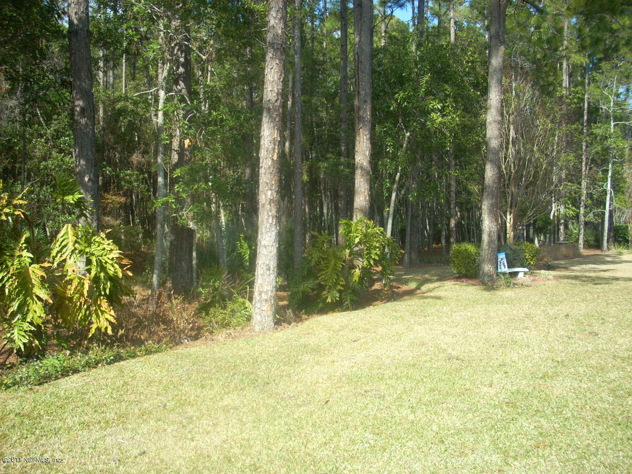 9132 Timberlin Lake Road Jacksonville, FL 32256 - Photo 29 of 49 Nice Yard on Preserve
