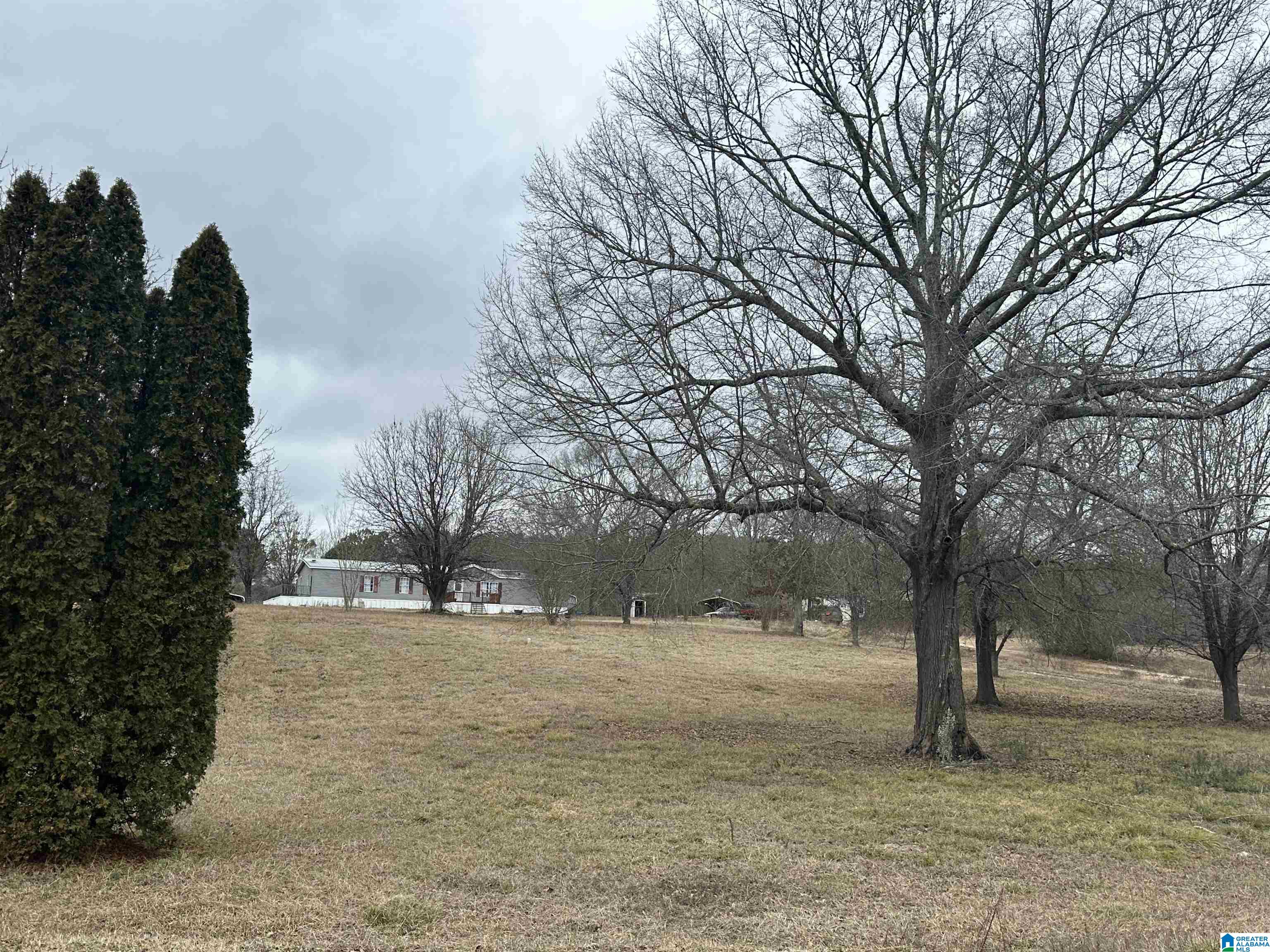 850 Cedar Creek Road Sylacauga, AL 35151 - Photo 42 of 47