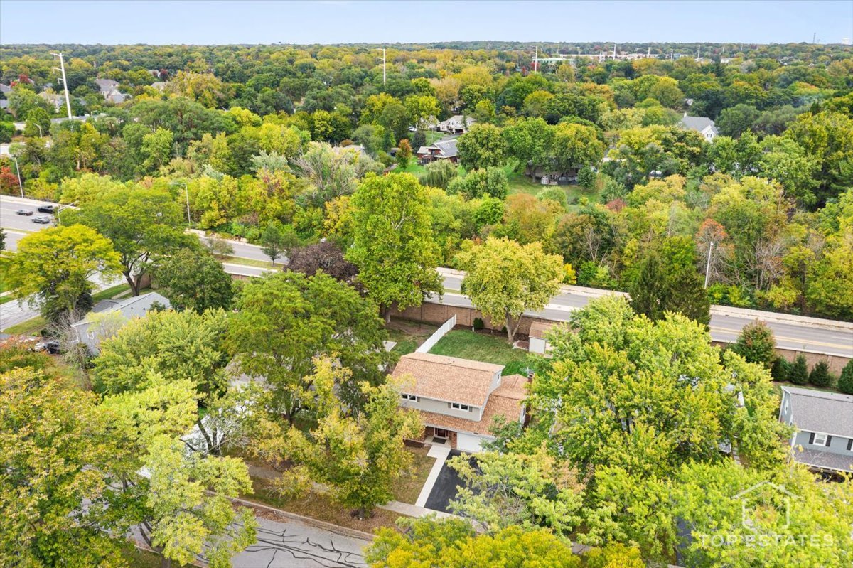 1408 Swallow Street Naperville, IL 60565 - Photo 42 of 54 view of a city with lush green forest
