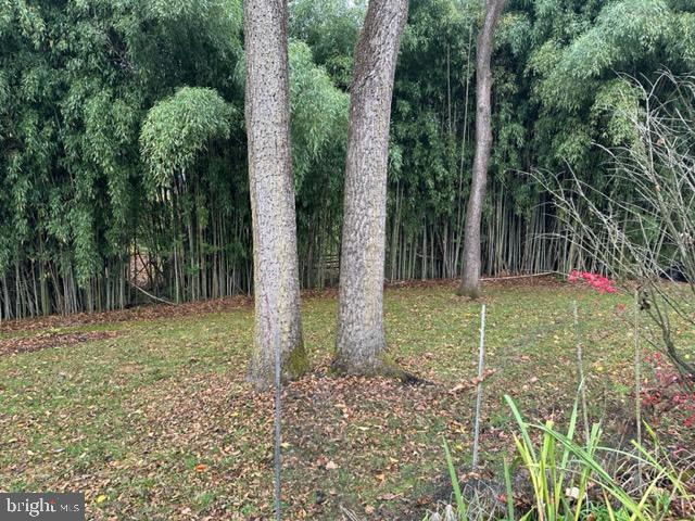 32 Gulick Road Princeton, NJ 08540 - Photo 26 of 26 Yard