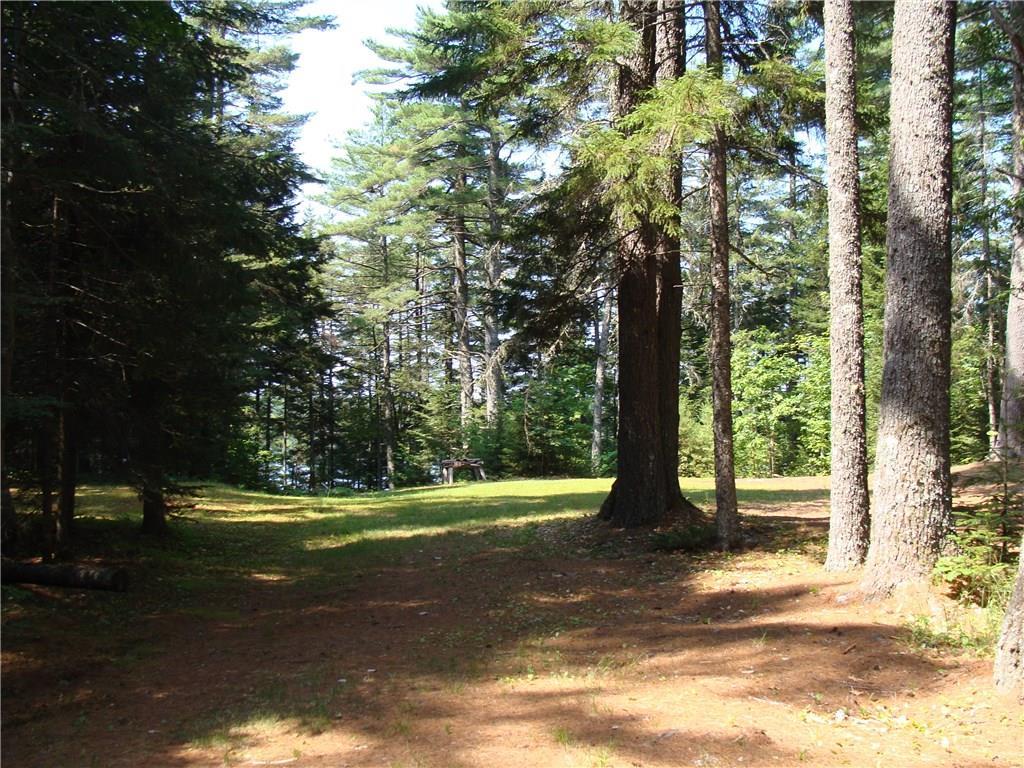 0 Lyons Den Road Northfield, ME 04654 - Photo 4 of 17 Photo