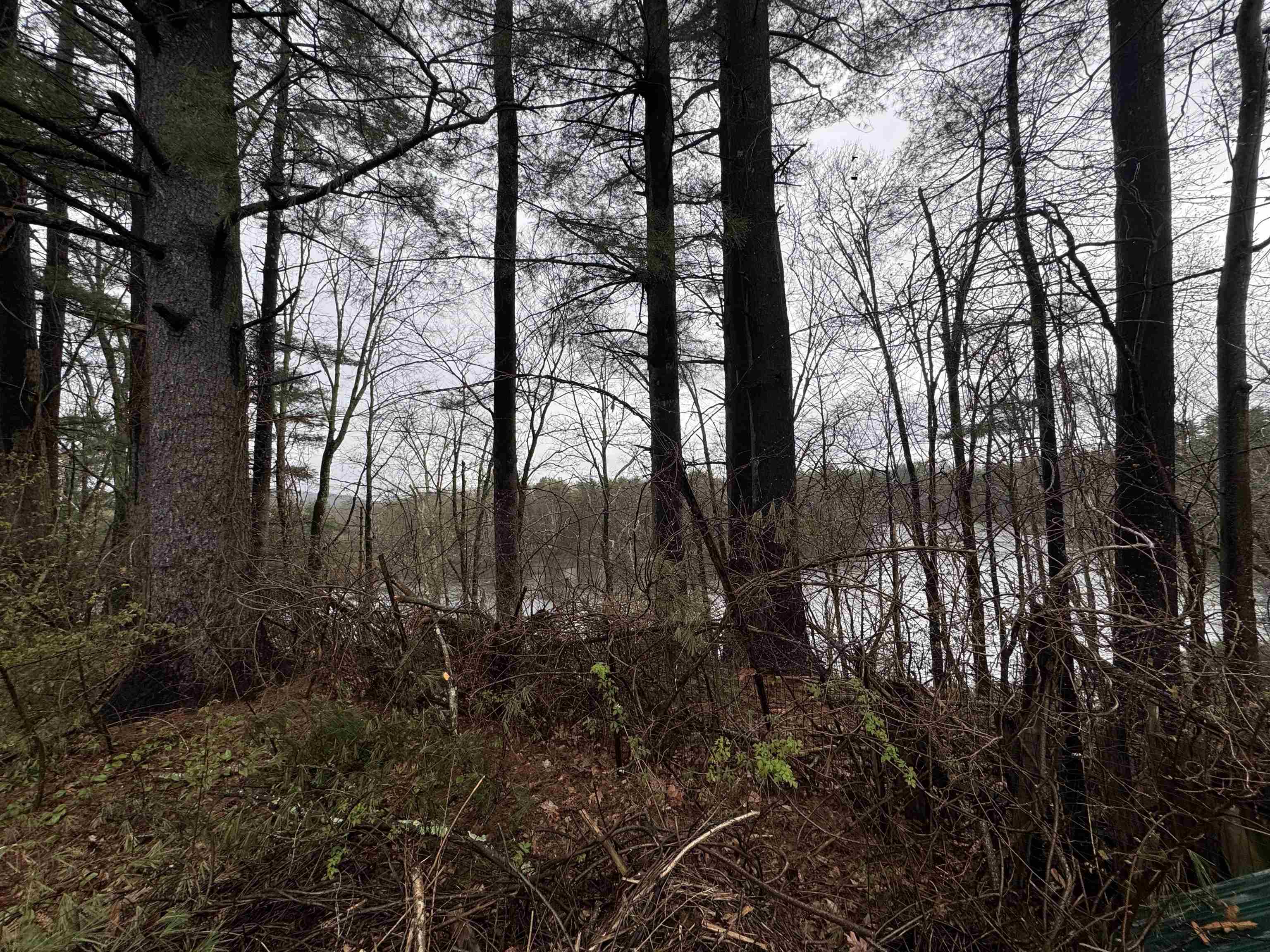 6 Old Boyce Road Canterbury, NH 03224 - Photo 13 of 13