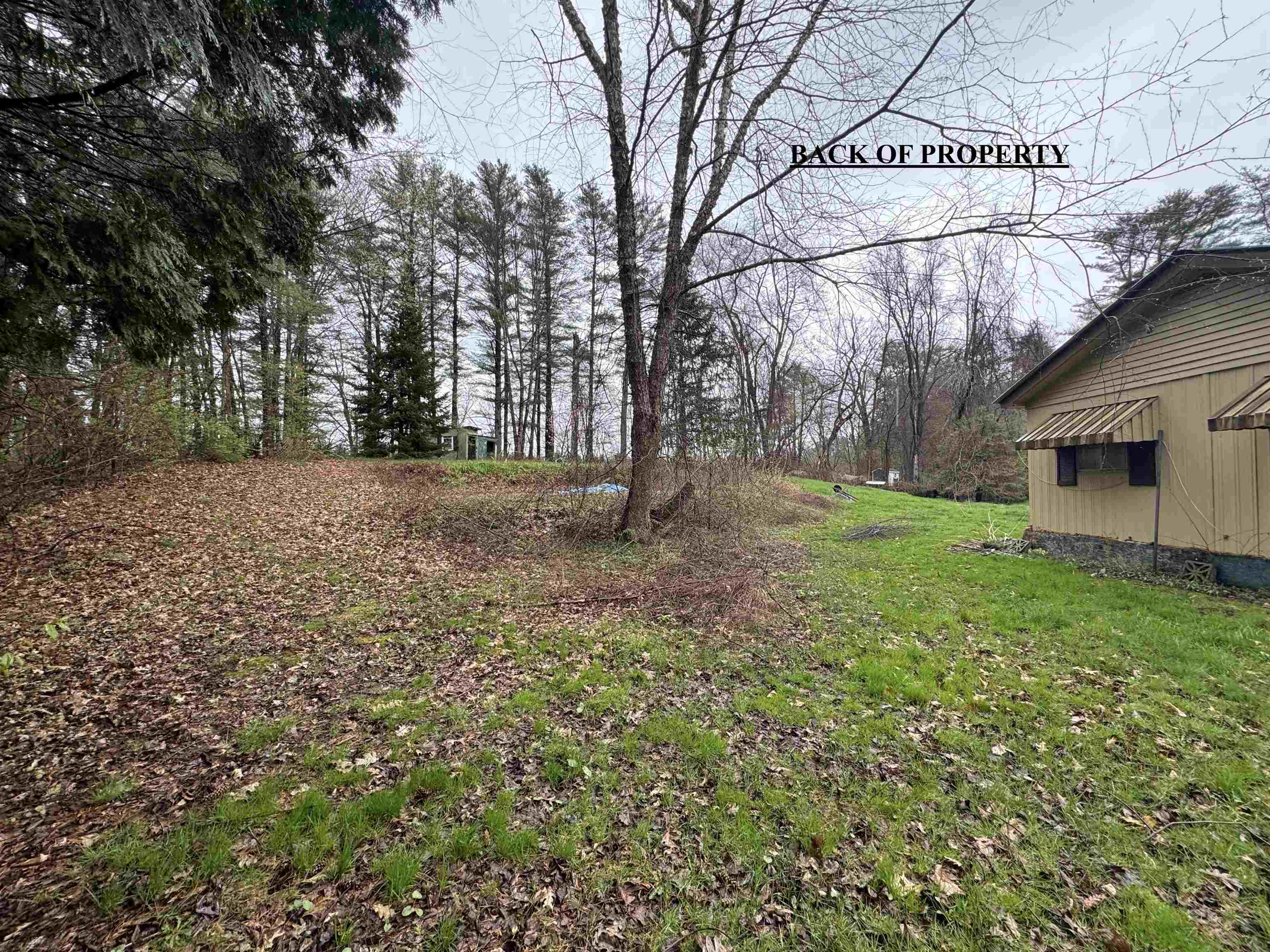 6 Old Boyce Road Canterbury, NH 03224 - Photo 8 of 13