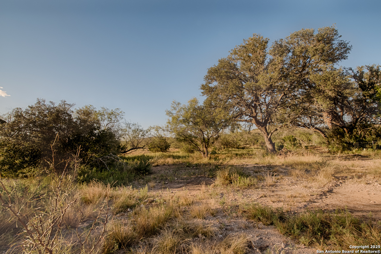 2205 SD 45700 Rocksprings, TX 78880 - Photo 11 of 30 a view of a field