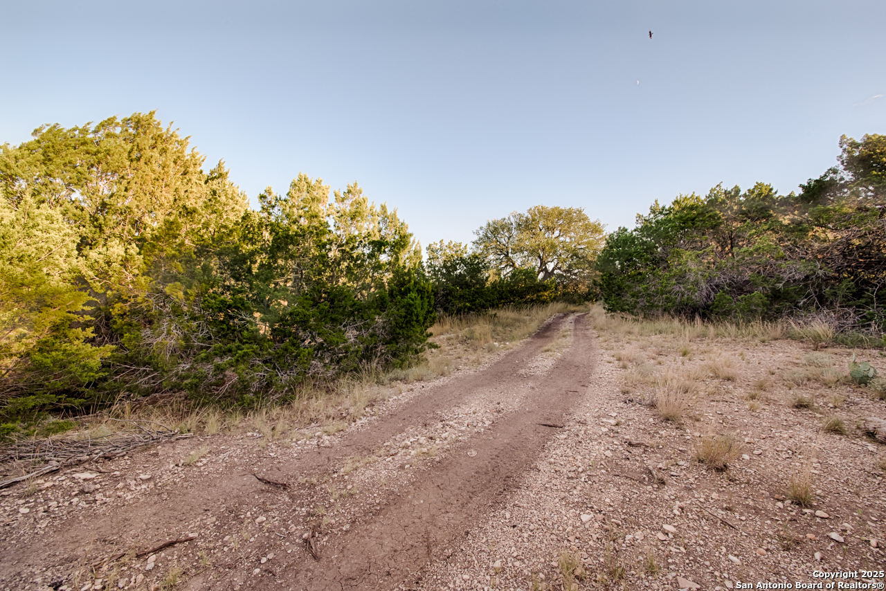 2205 SD 45700 Rocksprings, TX 78880 - Photo 13 of 30 a view of a yard with a tree