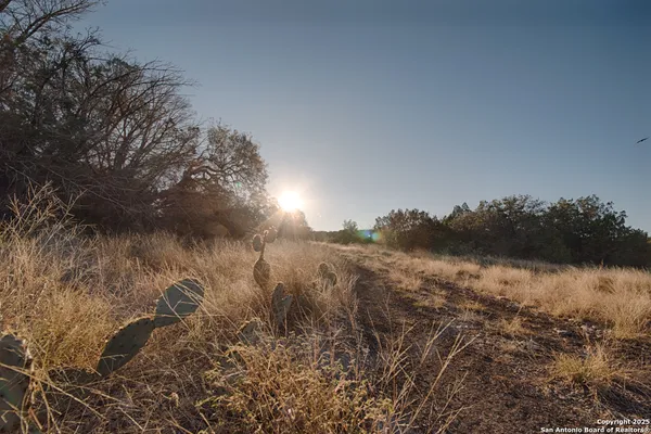 a view of lake with green space