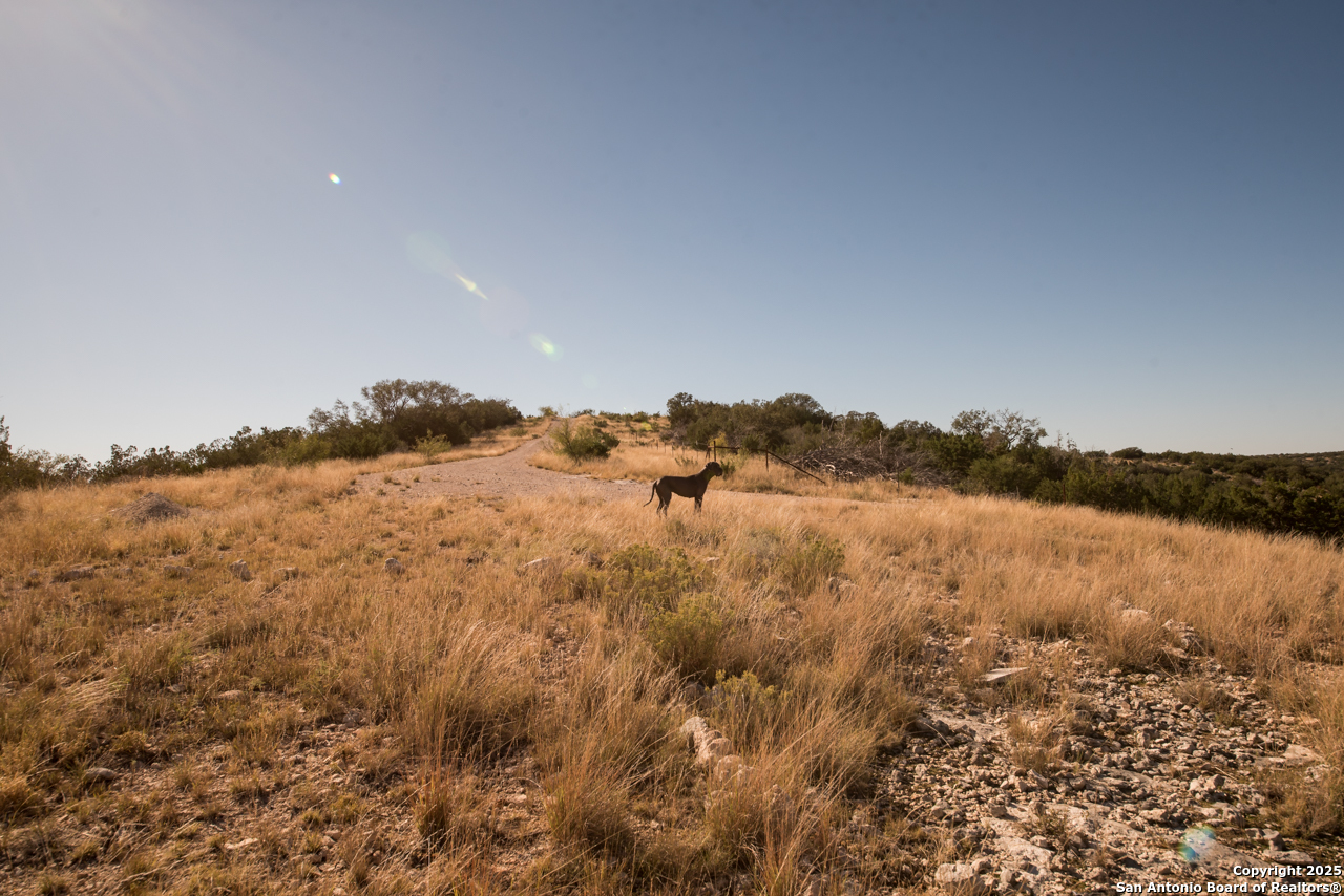 2205 SD 45700 Rocksprings, TX 78880 - Photo 17 of 30