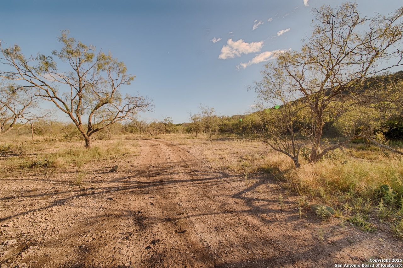 2205 SD 45700 Rocksprings, TX 78880 - Photo 10 of 30 a view of ocean view with large trees
