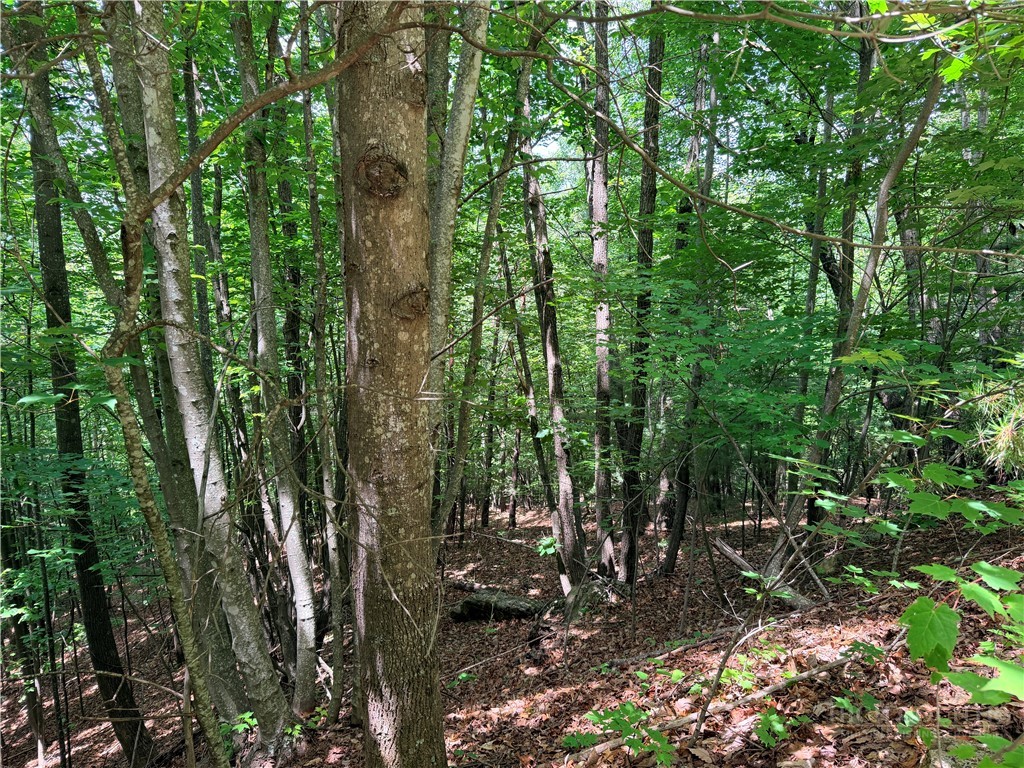 Lot 132 Warren Way Road Purlear, NC 28665 - Photo 6 of 36