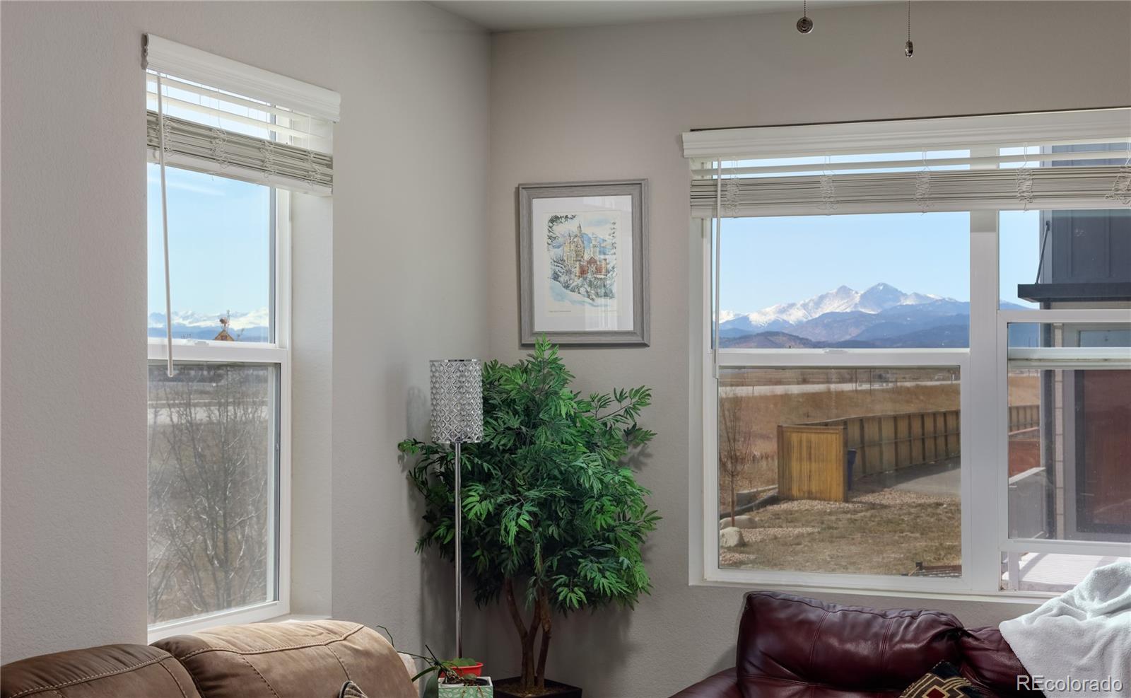 Undisclosed Address Berthoud, CO 80513 - Photo 7 of 26 a living room with furniture and a potted plant