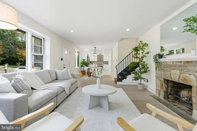 a living room with furniture a fireplace and a potted plant