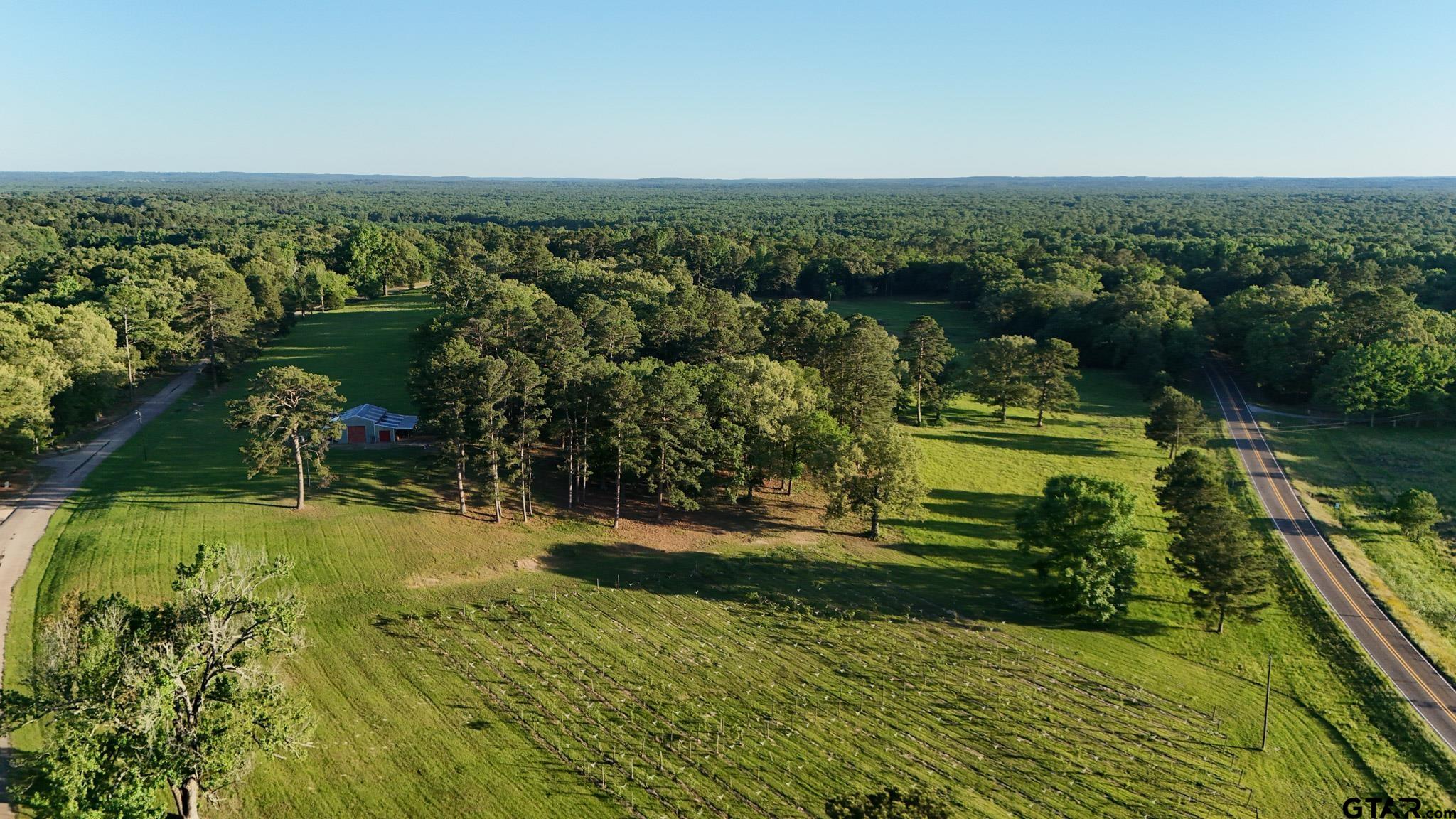 0 County Road 2680 Hawkins, TX 75765 - Photo 28 of 38