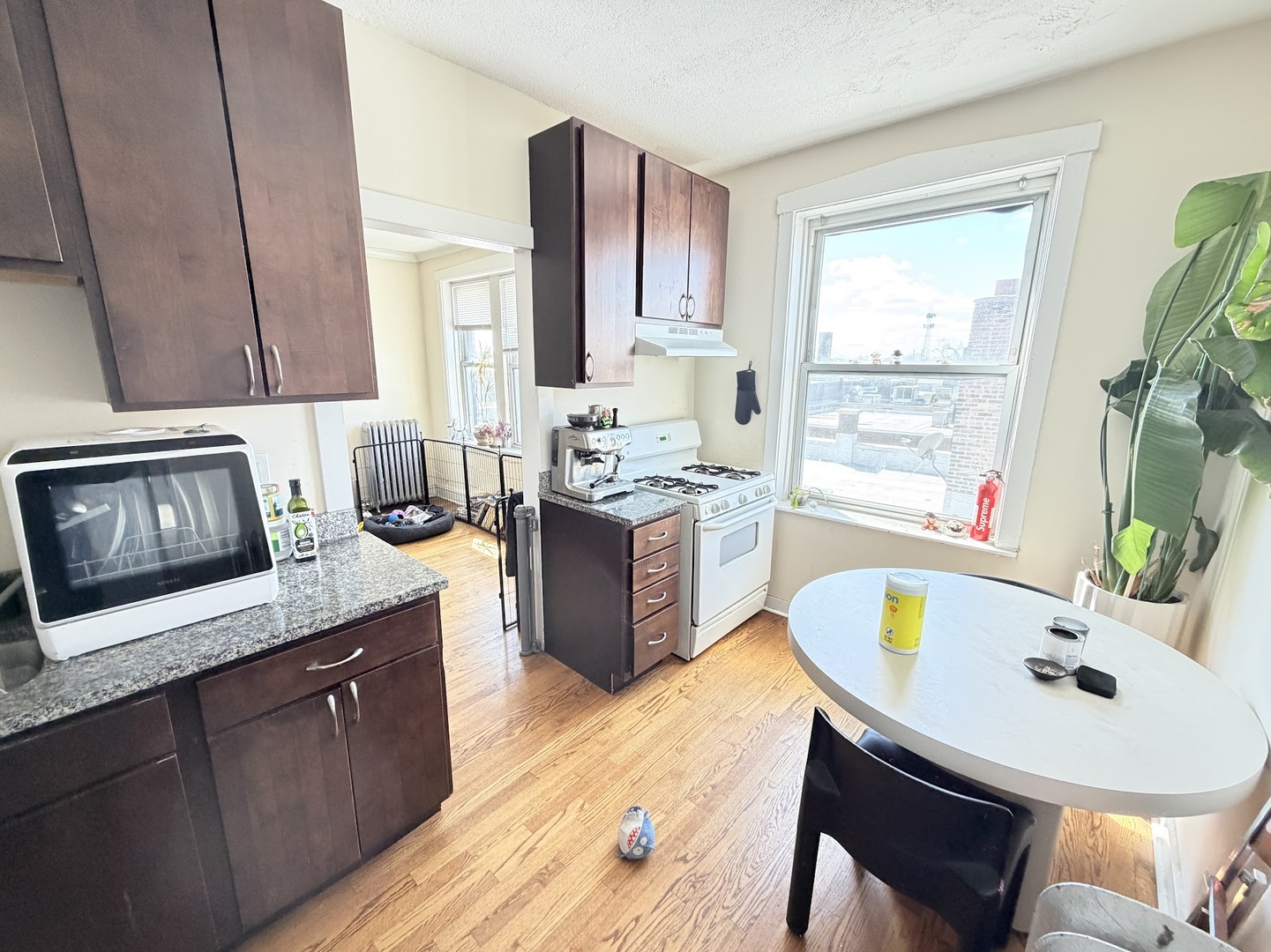 3155 West Augusta Boulevard, Unit 3B Chicago, IL 60622 - Photo 3 of 15