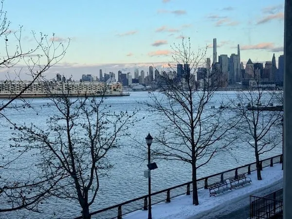 a view of a dry yard with trees