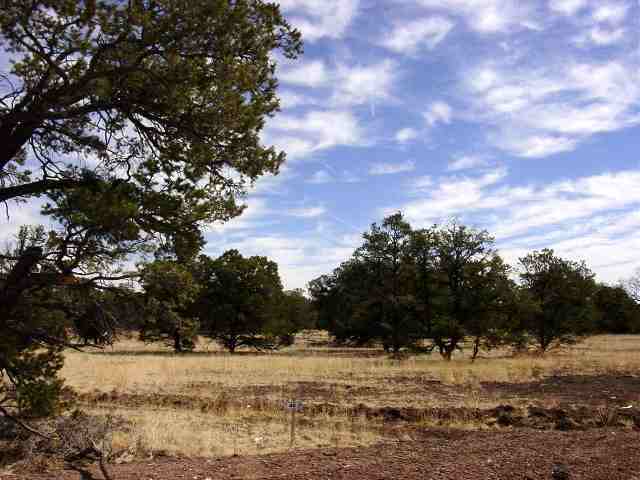 48 Fountain Hills Road Quemado, NM 87829 - Photo 1 of 1