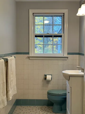 a bathroom with a sink a toilet and a shower