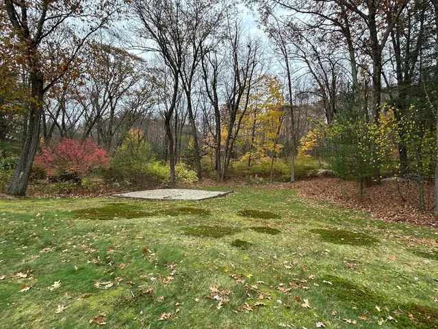 a view of outdoor space with deck and trees