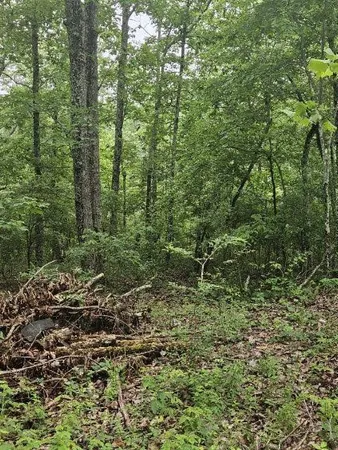 $8,999 | 0 Dixie Court, Holladay, TN 38341