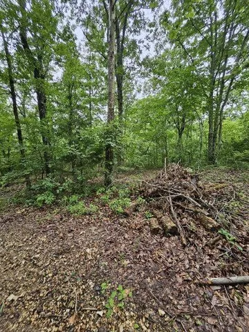 $8,999 | 0 Dixie Court, Holladay, TN 38341