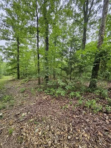 $8,999 | 0 Dixie Court, Holladay, TN 38341