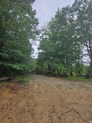 $8,999 | 0 Dixie Court, Holladay, TN 38341