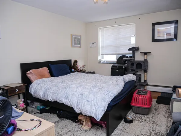 $2,900 | 217 Kent Street, Unit 26, Brookline, MA 02446