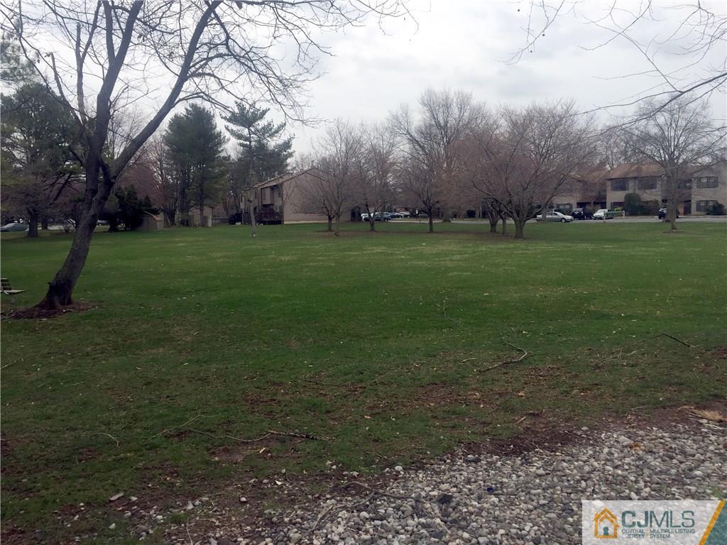 59 Pheasant Run Edison, NJ 08820 - Photo 6 of 6 a view of yard with trees