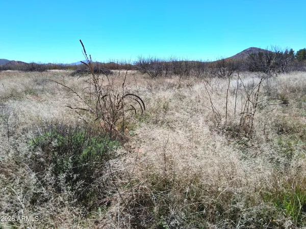 $88,000 | 13588 South Desert Dawn Drive, Pearce, AZ 85625