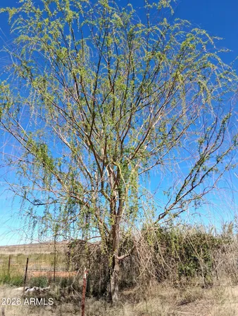 $88,000 | 13588 South Desert Dawn Drive, Pearce, AZ 85625