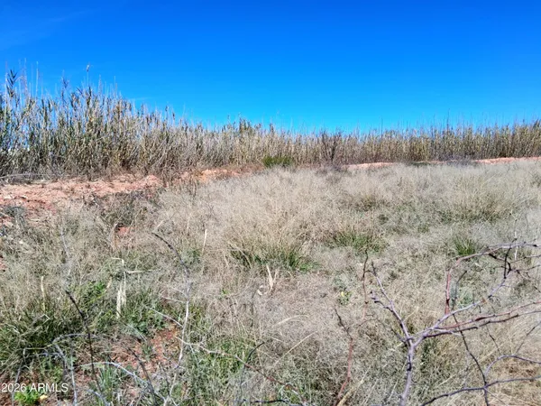 $88,000 | 13588 South Desert Dawn Drive, Pearce, AZ 85625