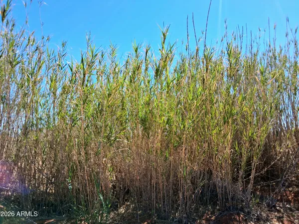 $88,000 | 13588 South Desert Dawn Drive, Pearce, AZ 85625