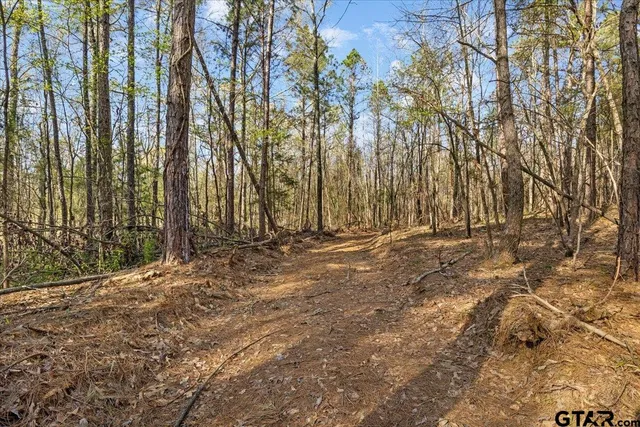 a view of outdoor space with trees