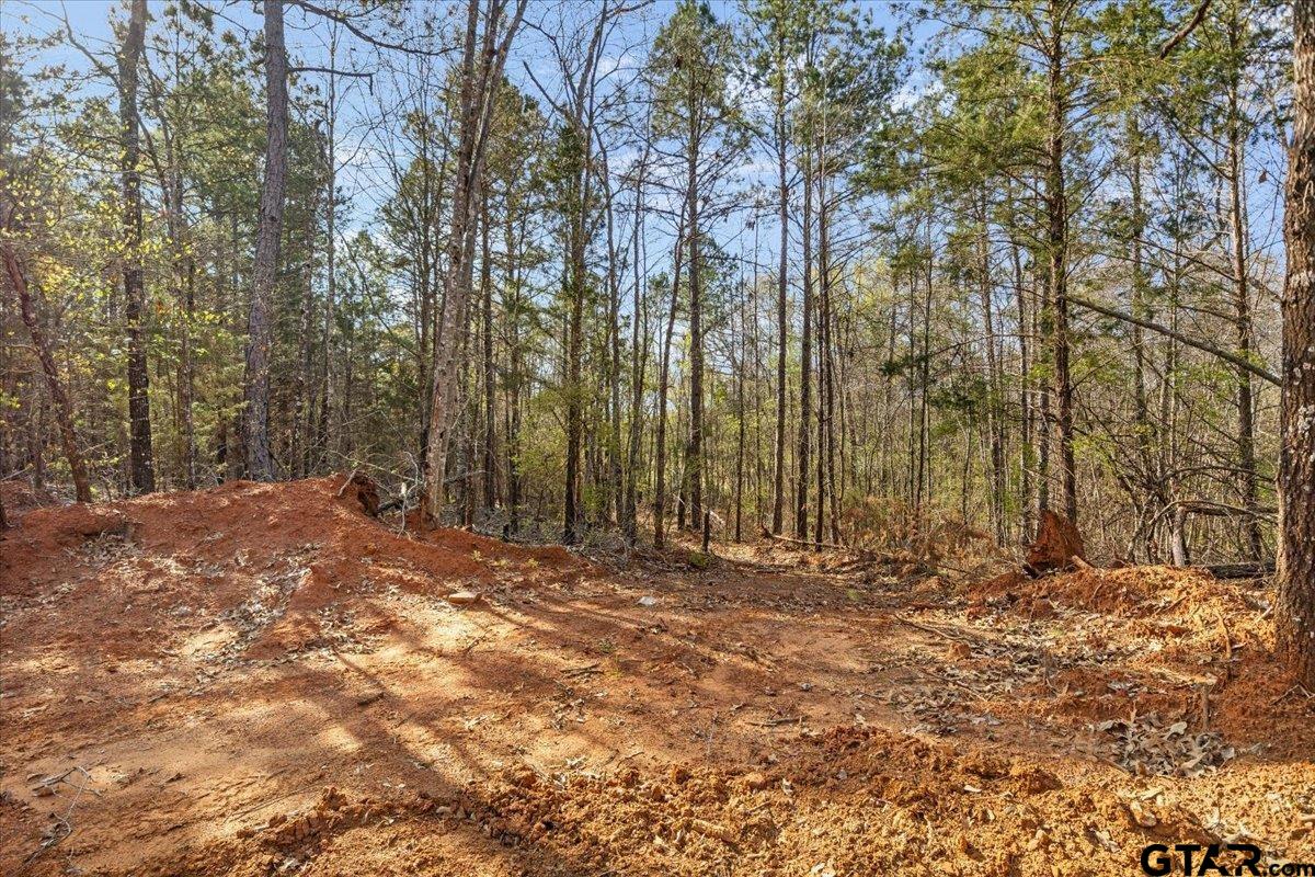 2015 St Tyler Tx 75708 Tyler, TX 75708 - Photo 2 of 5 a view of outdoor space with trees