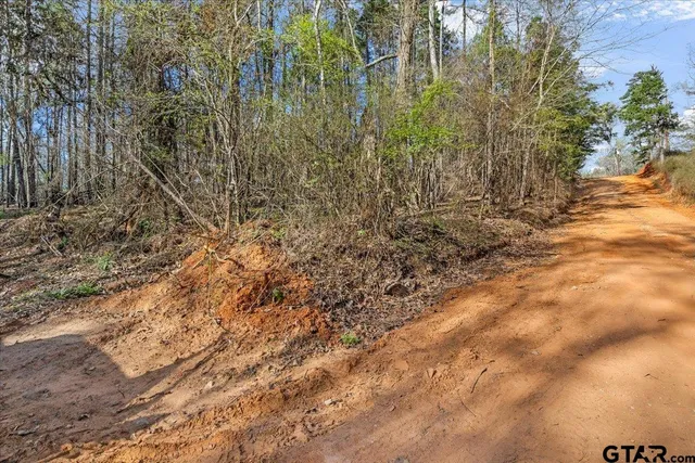 a view of a backyard of a building