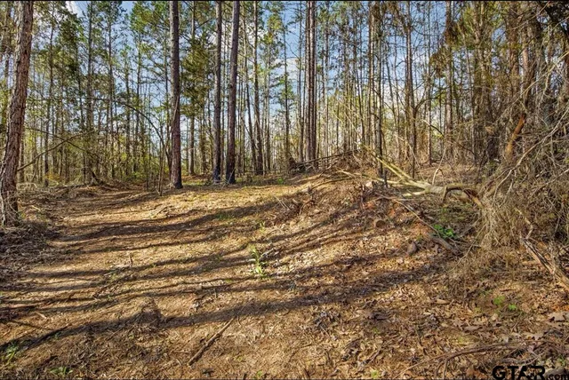 $34,000 | 2015 St Tyler Tx 75708, Tyler, TX 75708