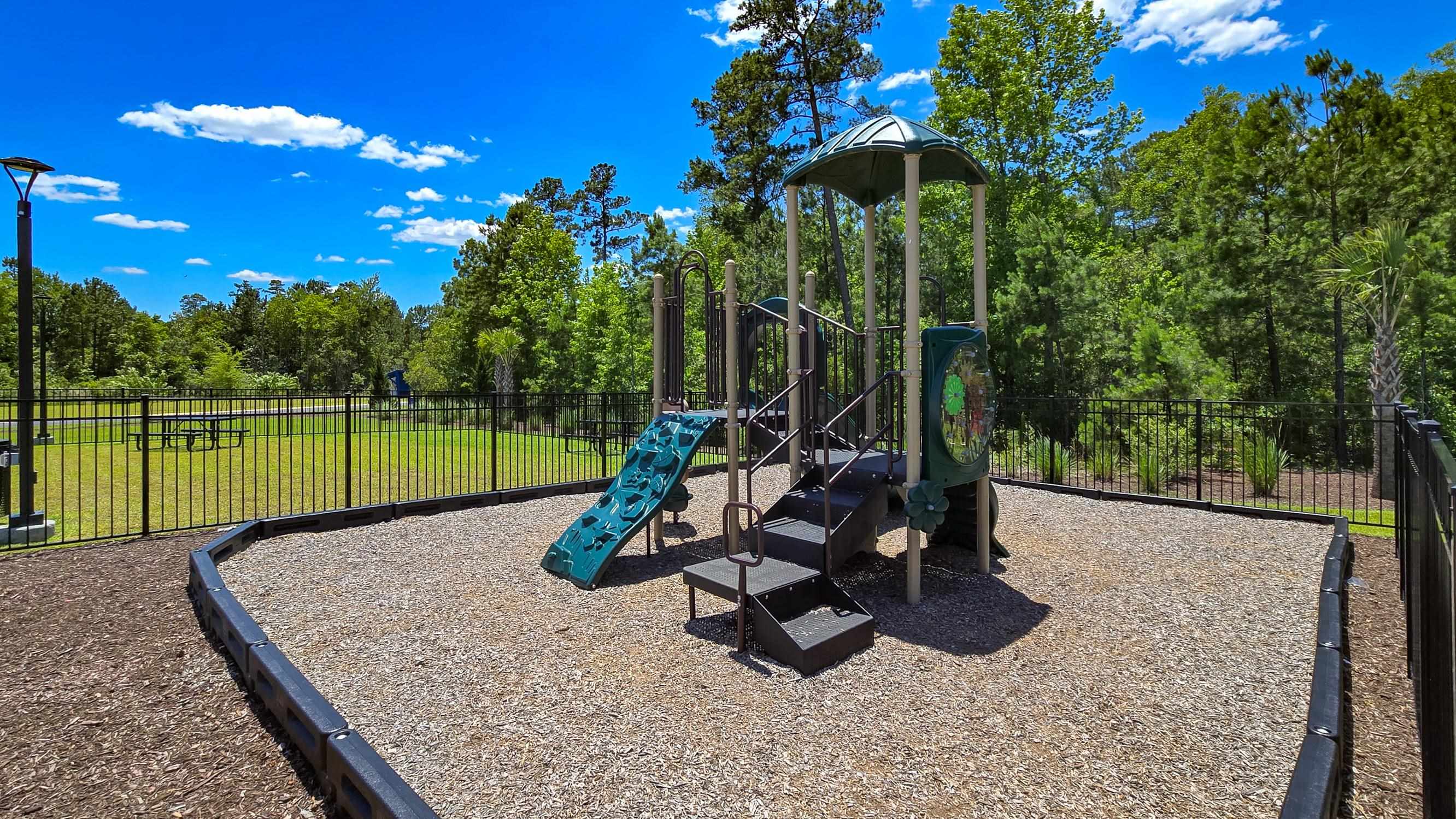 259 Warner Xing Way Loris, SC 29569 - Photo 30 of 30