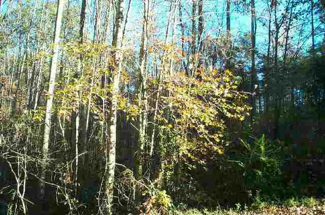 Lot 2 Dean Road Anderson, SC 29625 - Photo 1 of 1 Gallery Image 1