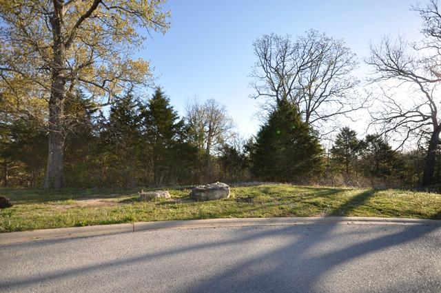 Tbd Van Buren Road Branson, MO 65616 - Photo 1 of 1 2016-04-08 08.29.03