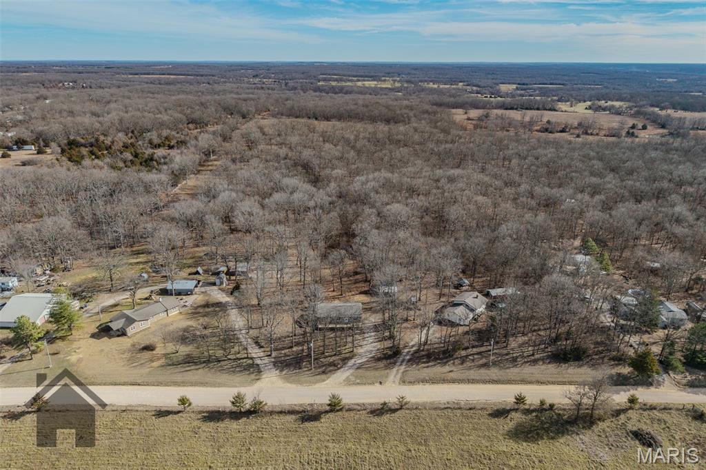 16632 Nickel Drive Phillipsburg, MO 65722 - Photo 45 of 60