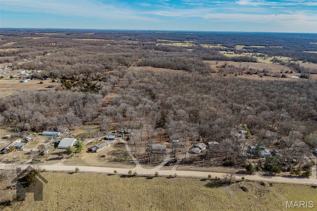 16632 Nickel Drive Phillipsburg, MO 65722 - Photo 49 of 60